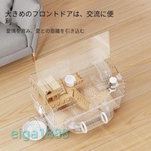 ハムスターケージ 大サイズ 透明アクリル製 サ...の詳細画像3