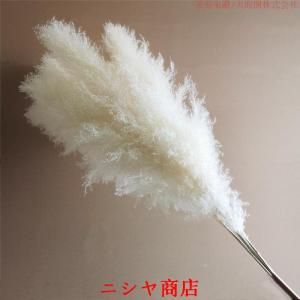 ドライフラワー 花材 白 ビッグテールリード ...の詳細画像2