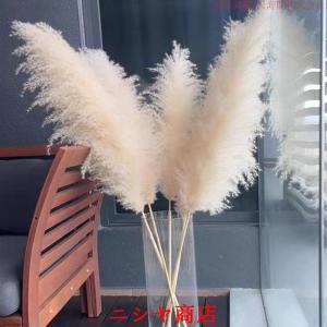ドライフラワー 花材 白 ビッグテールリード ...の詳細画像3