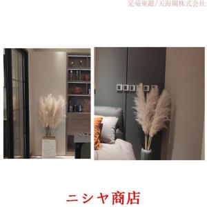 ドライフラワー 花材 白 ビッグテールリード ...の詳細画像4