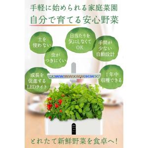 水耕栽培 キット セット 家庭菜園 プランター...の詳細画像3