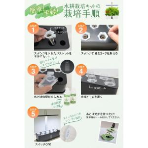 水耕栽培 キット セット 家庭菜園 プランター...の詳細画像5