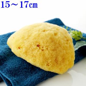 海綿 スポンジ シルク種 ライトイエロー色 L 乾燥時15〜17cm ボディケア 美肌｜eigekai-shop