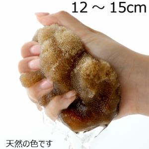 海綿 スポンジ シルク種 ナチュラル色 M 乾燥時12〜15cm ボディ洗い 洗顔 美肌｜eigekai-shop