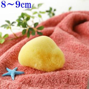 海綿 スポンジ シルク種 ライトイエロー色 SS 乾燥時8〜9cm 洗顔 美肌　熊本産釜炒り茶２P付