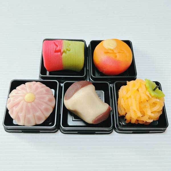 11月の上生菓子　詰め合わせ選べる12個入り