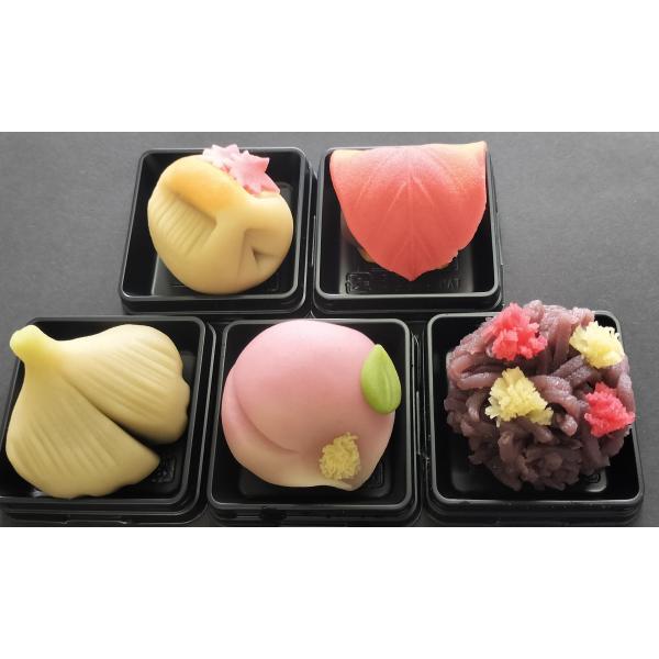11月の上生菓子　詰め合わせ選べる6個入り　