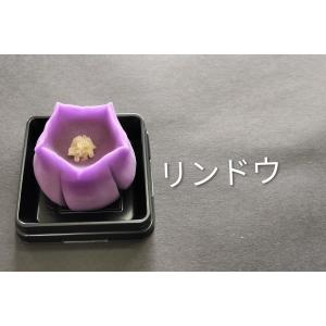 10月の上生菓子 詰め合わせ選べる6個入りの詳細画像2
