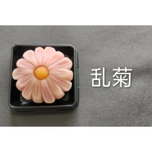 10月の上生菓子 詰め合わせ選べる6個入りの詳細画像4