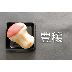 10月の上生菓子 詰め合わせ選べる6個入りの詳細画像5