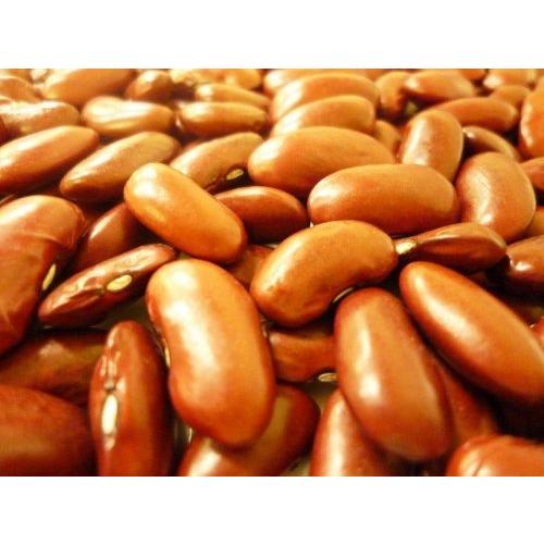まめやの底力　アメリカ産レッドキドニー　1Kg