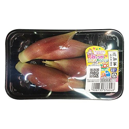 高知県産 みょうが A等級 Lサイズ 50gパック（3本前後入） ミョウガ 茗荷