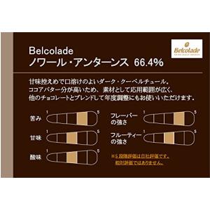 【 業務用 】 Belcolade (ベルコラ...の詳細画像1