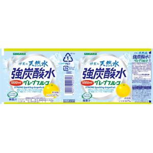 サンガリア 伊賀の天然水 強炭酸水 グレープフ...の詳細画像2