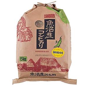 精白米 5kg 特別栽培米 魚沼産コシヒカリ ゆきやまと農場 令和7年産 津南町