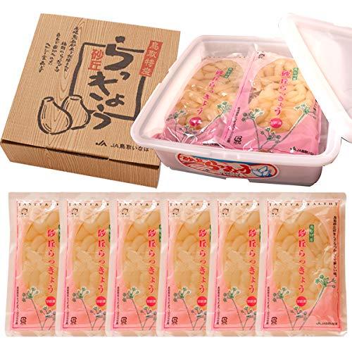 風味絶佳.山陰 砂丘らっきょう漬け 鳥取県福部町産 ギフト向け樽箱入1.2kg 無添加 国産