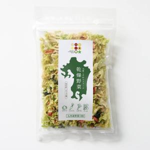 乾燥野菜（1袋/100g） 九州こだわりファーム 九州産キャベツ・にんじん・小松菜・ケール｜無添加 フリーズドライ 国産野菜ストック チョイスジャパン