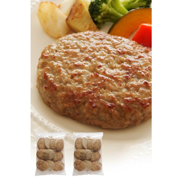 冷凍ハンバーグ ハンバーグ 【 厳選 鶏肉 × 国内 加工の絶品 ハンバーグ 】 レトルト 冷凍 （...