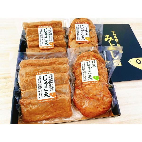 健康セット 無添加じゃこ天 宇和島練り物工房みよし 贈答用ギフトセット