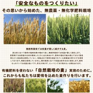 原農場の水出し麦茶240グラム(10g×12パ...の詳細画像2