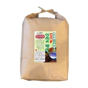 ササニシキ 5kg 7年産 特別栽培米 郷の有機(発酵堆肥使用) 宮城古川産 大崎耕土 (白米)