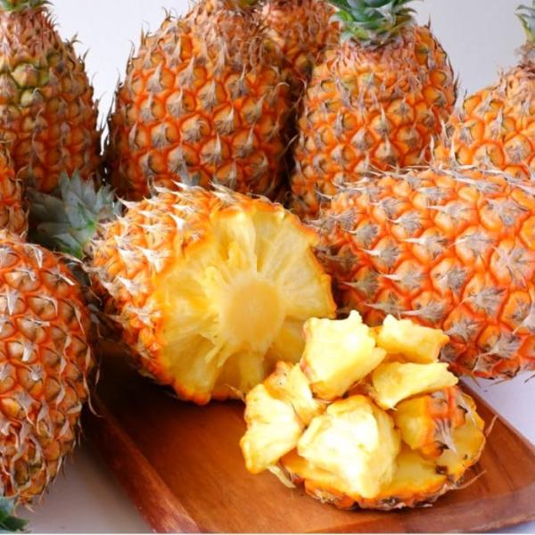 沖縄県産スナックパイン(ボゴール種) ちぎって食べるパイン 沖縄琉堂 (2.4kg以上(2玉〜5玉)...