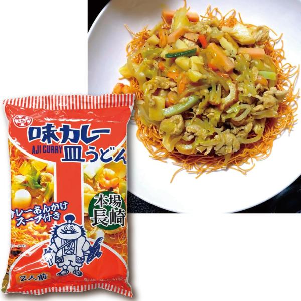 たなか物産 やまとの味カレー皿うどん 2人前入り4袋 長崎