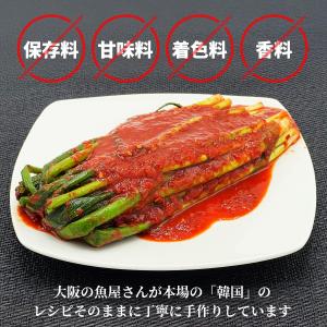 【国産鱧(はも)出汁】ねぎキムチ 国産 合成添...の詳細画像4
