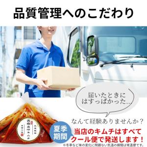 【国産鱧(はも)出汁】ねぎキムチ 国産 合成添...の詳細画像5