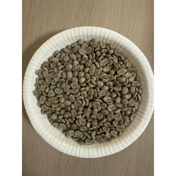 亭軒珈琲 スペシャルティ コーヒー生豆 ケニア AA SCA85+ 1KG