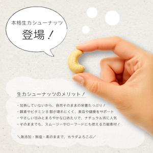 カシューナッツ 無塩 450g チャック付き袋...の詳細画像1