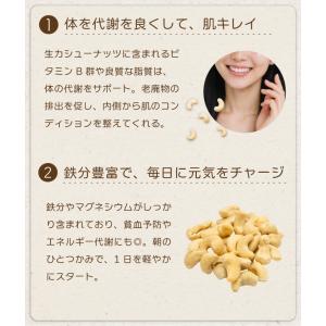 カシューナッツ 無塩 450g チャック付き袋...の詳細画像4