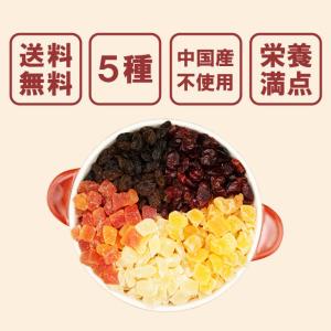 ドライフルーツ ミックス 5種 ブレンド 45...の詳細画像2
