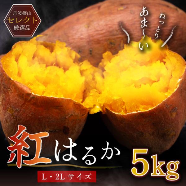 即納 期間限定価格 兵庫県産 紅はるか 丹波篠山産 L・2L混合 約 5kg さつまいも さつま芋 ...