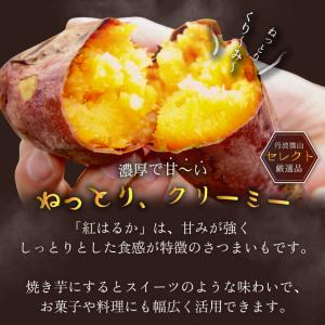 即納 期間限定価格 兵庫県産 紅はるか 丹波篠...の詳細画像1