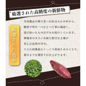 即納 期間限定価格 兵庫県産 紅はるか 丹波篠...の詳細画像2