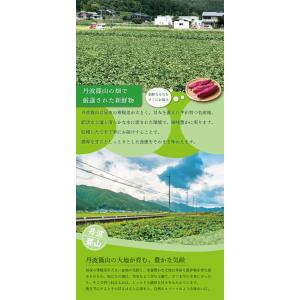 即納 期間限定価格 兵庫県産 紅はるか 丹波篠...の詳細画像3