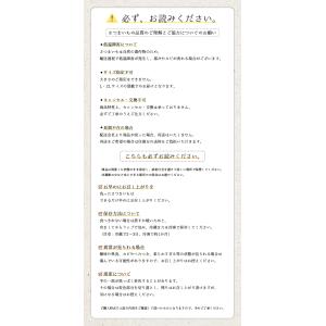 即納 期間限定価格 兵庫県産 紅はるか 丹波篠...の詳細画像5