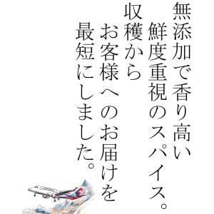 クミンシード100g JEAU CHAU ネパ...の詳細画像3