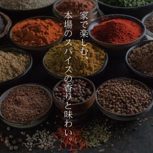 ガラムマサラパウダー 100g JEAU CH...の詳細画像1