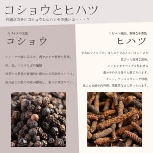 ヒハツパウダー 50g JEAU CHAU ジ...の詳細画像5