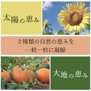 2種のミックスシード 600g かぼちゃの種 ...の詳細画像3