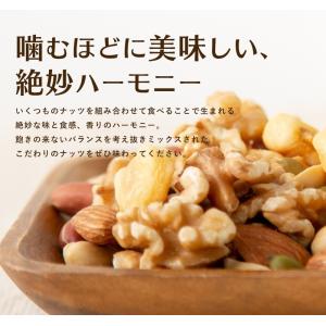 ミックスナッツ 6種 塩味 1kg ナッツ ア...の詳細画像3