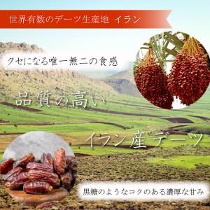 ドライデーツ 種なし イラン産 900g 砂糖...の詳細画像5