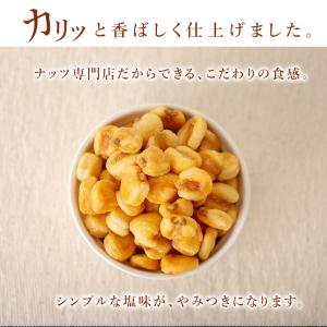 ジャイアントコーン 塩味 450g おつまみ ...の詳細画像1