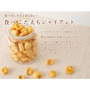 ジャイアントコーン 塩味 450g おつまみ ...の詳細画像2