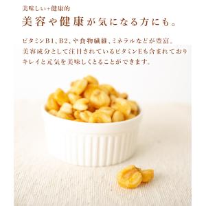 ジャイアントコーン 塩味 450g おつまみ ...の詳細画像3