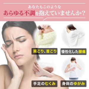 ハンディガン マッサージ 筋膜リリース ボディ...の詳細画像2