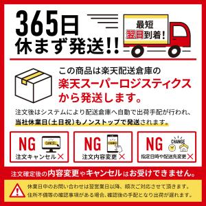 実験 工作 キット 恐竜ワールドスペシャルセッ...の詳細画像5