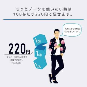 日本通信SIM スターターパック ドコモネット...の詳細画像5